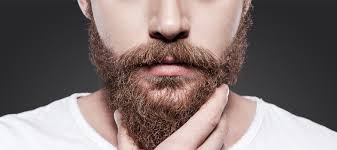 BEARD AND MUSTACHE CULTIVATION BEARD AND MUSTACHE CULTIVATION